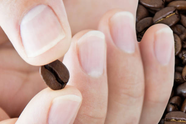 istock Coffee bean between two fingers as a close-up 1179387373