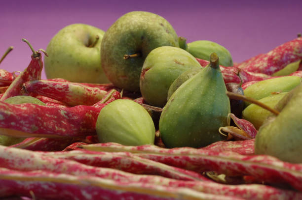 agricultural harvest-still life on a purple background