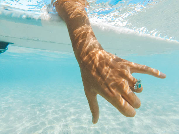 istock Underwater shot of shaka sign 1179390097