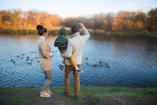 Father, mother and little son feeding ducks by the lake at autumn