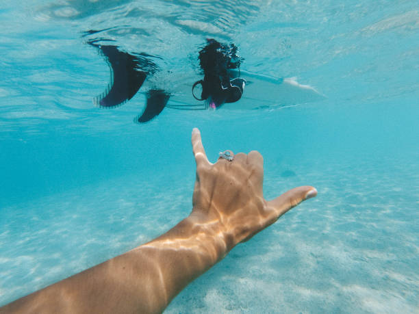 istock Underwater shot of shaka sign 1179390188