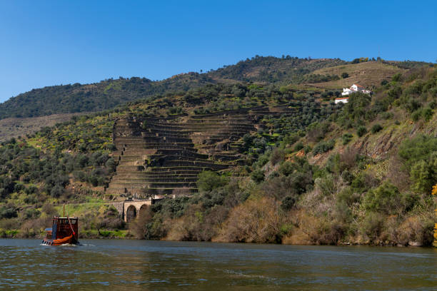 Scenic view of the Douro River with a traditional rabelo boat and terraced vineyards near the Tua village Scenic view of the Douro River with a traditional rabelo boat and terraced vineyards near the Tua village, in Portugal. rabelo boat stock pictures, royalty-free photos & images