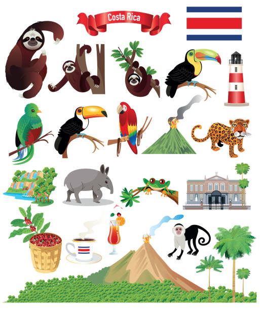 illustrazioni stock, clip art, cartoni animati e icone di tendenza di mappa dei cartoni animati del costa rica - tapiro
