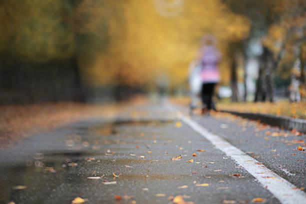 London, United Kingdom - November 4, 2013: Hyde park London. Hyde park on sunny afternoon day in fall. Some people strolling along the footpath.