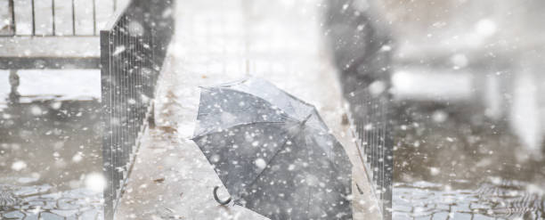 istock Background autumn park in the first snow 1179395736