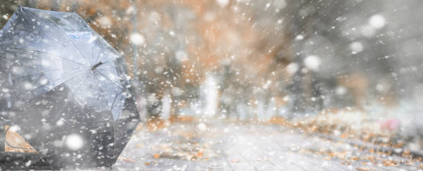 istock Background autumn park in the first snow 1179395844