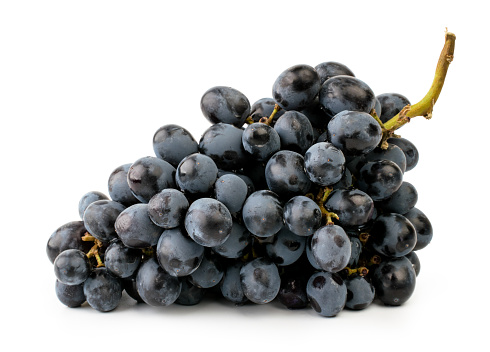 Bunch of blue grapes on a white background, close-up. Isolated