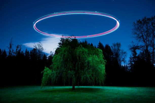 istock Long exposure of tree with halo lighting up tree 1179400014