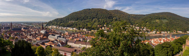 istock Town of Heidelberg 1179402037