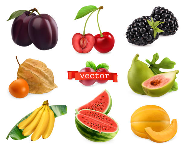 ilustrações de stock, clip art, desenhos animados e ícones de fresh fruits and berries. plum, cherry, blackberry, physalis, figs, banana, watermelon, melon. 3d realistic vector set - plum fruit organic food and drink