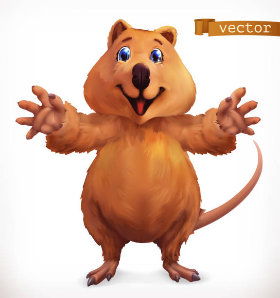 ilustrações, clipart, desenhos animados e ícones de personagem de banda desenhada de quokka. animal engraçado, ícone do vetor 3d - kangaroo animal humor fun