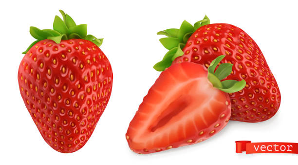 strawberry vektorisiertes bild. frisches obst. 3d realistische vektor-symbol - strawberry fruit isolated freshness stock-grafiken, -clipart, -cartoons und -symbole