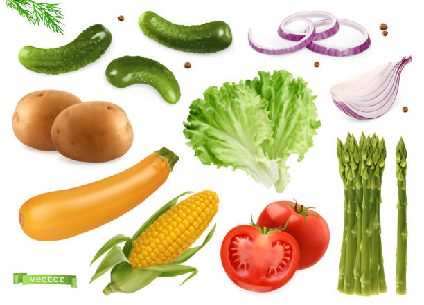 gurken, koriandersamen, zwiebeln, kartoffeln, salat, zucchini, mais, tomaten, spargel. gemüse 3d realistische vektor-set - spargel stock-grafiken, -clipart, -cartoons und -symbole