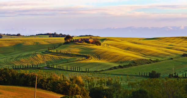 istock Early morning over curvy hills in Tuscany 1179408051