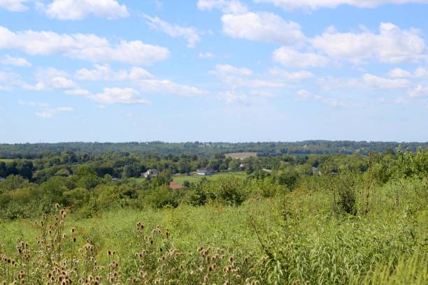 istock Aerial View of Countryside 1179408300