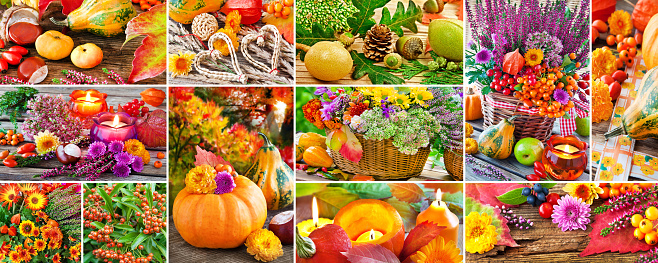 Autumn decorations and pumpkins close up collage