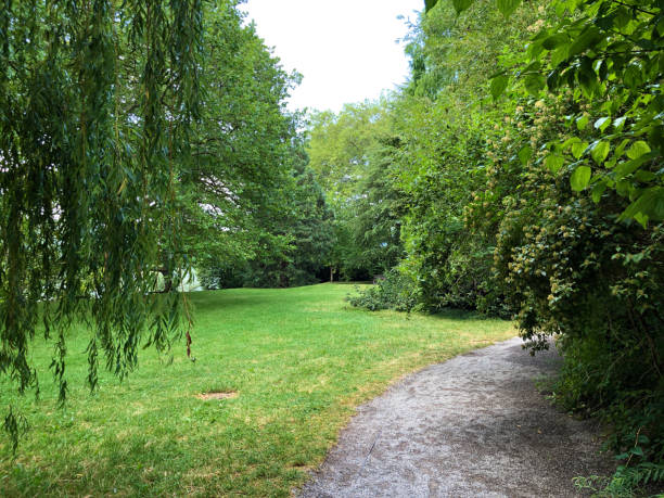 istock Landscape of the Park and trees, Mainau 1179413912