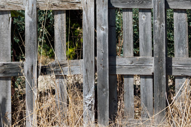 istock Gray wooden fence in sunlight 1179414084
