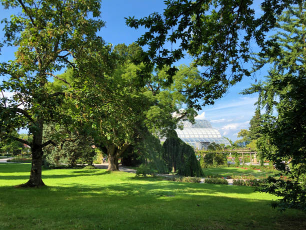 istock Landscape of the Park and trees, Mainau 1179414121