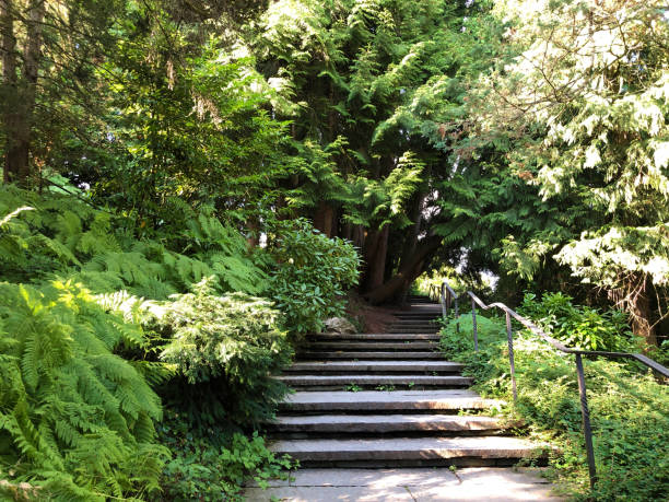 istock Landscape of the Park and trees, Mainau 1179414183