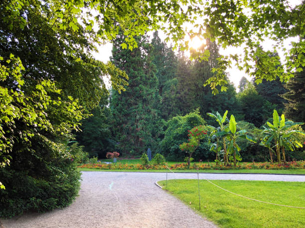 istock Landscape of the Park and trees, Mainau 1179414206