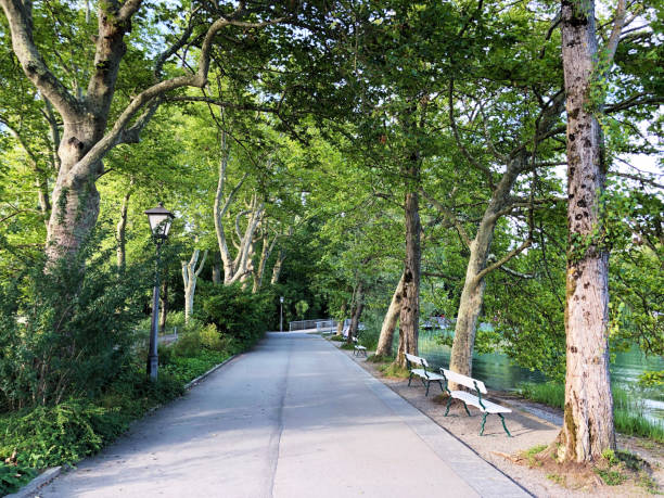 istock Landscape of the Park and trees, Mainau - Constance, Germany 1179414468