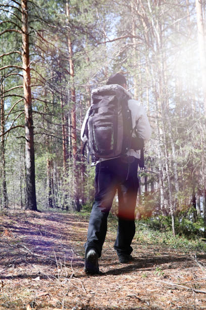 istock A man is a tourist in a pine forest with a backpack. A hiking trip through the forest. Pine reserve for tourist walks. A young man a hike in the spring. 1179416597