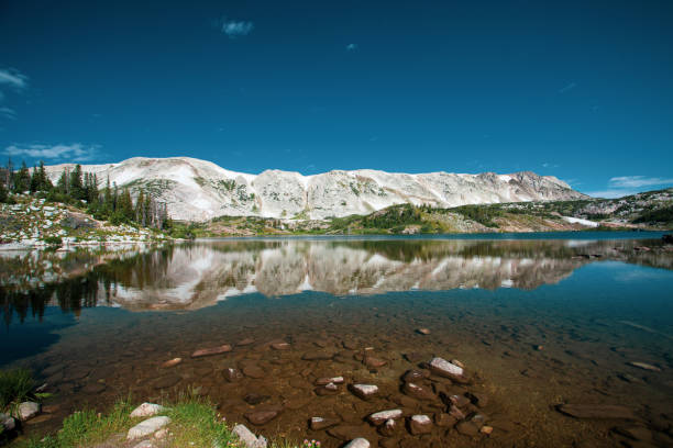 istock Medicine Bow National Forest, Wyoming 1179417042