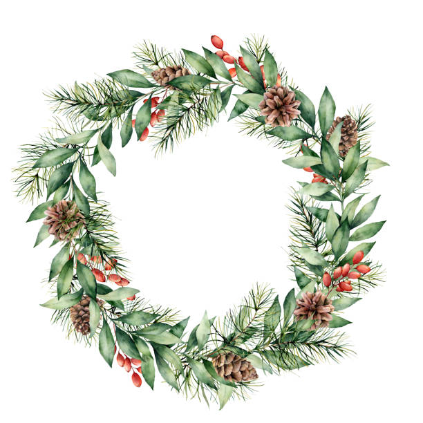 Watercolor Christmas wreath with berries, pine cones and tree branches. Hand painted fir border with eucalyptus leaves isolated on white background. Floral illustration for design, print, background. Watercolor Christmas wreath with berries, pine cones and tree branches. Hand painted fir border with eucalyptus leaves isolated on white background. Floral illustration for design, print, background christmas pine cone frame branch stock illustrations