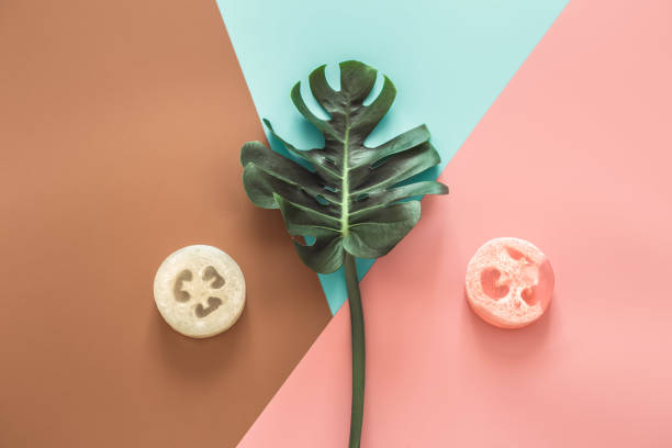 istock Spa still life on colored background with tropical leaves. 1179417614