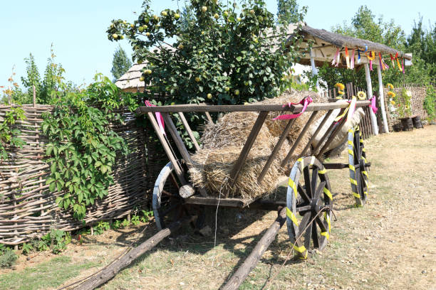 Wooden cart with straw at a farm