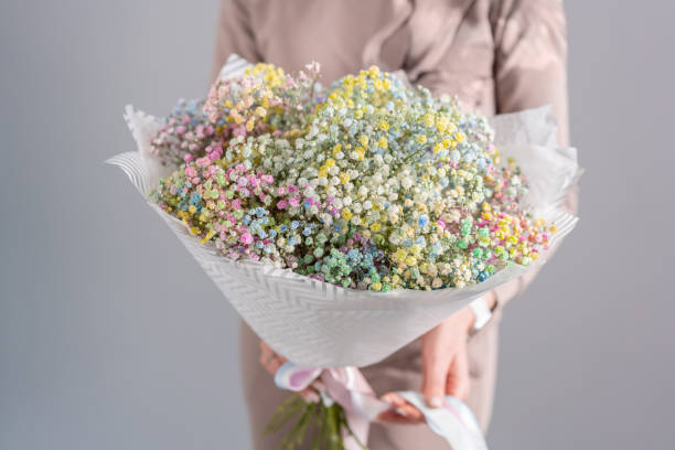 Rainbow gypsophila, different color. Beautiful bouquet of mixed flowers in womans hands. the work of the florist at a flower shop. Fresh cut flower. Rainbow gypsophila, different color. Beautiful bouquet of mixed flowers in womans hands. the work of the florist at a flower shop. Fresh cut flower flower arrangement bouquet variation flower stock pictures, royalty-free photos & images