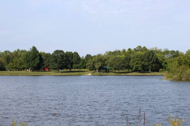 istock Peaceful Lake in Country 1179421155