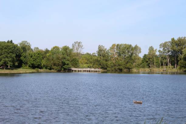 istock Lake in the Country 1179421157