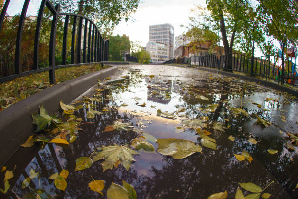 istock Wet autumn day in the city 1179421162