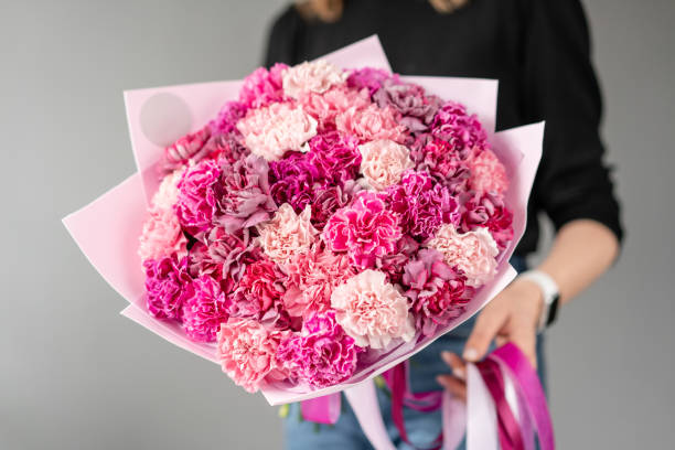 mono bouquet. bunch of carnation flowers rich pink color. spring bunch in woman hand. present for mothers day. - flower head bouquet built structure carnation imagens e fotografias de stock