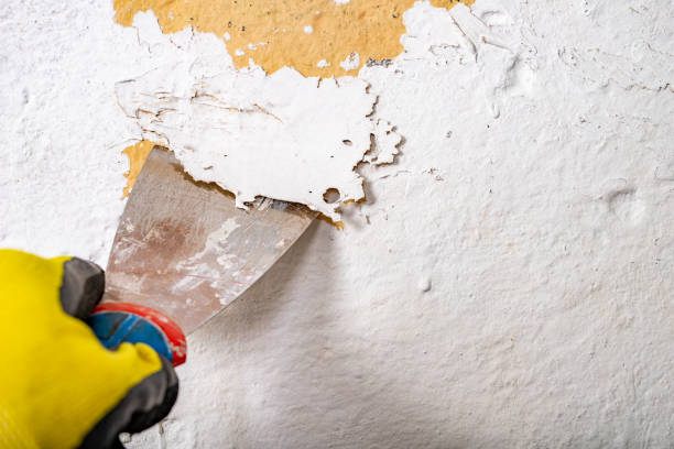 Removing old paint from the wall with a metal spatula. Small painting works at home. Light background. Removing old paint from the wall with a metal spatula. Small painting works at home. Light background. scraping stock pictures, royalty-free photos & images