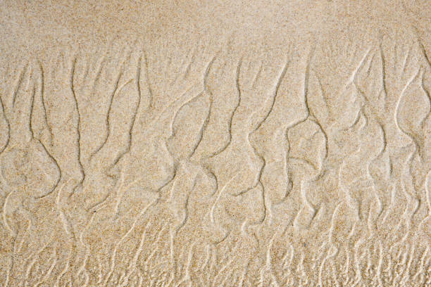 istock Result of wind and water game with sand at seashore 1179425818