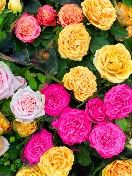 istock Bouquet of Roses 1179432141