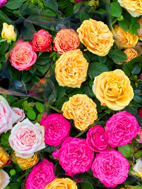 istock Bouquet of Roses 1179432154