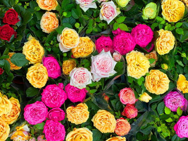 istock Bouquet of Roses 1179432158