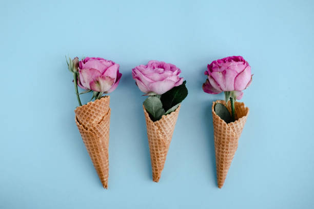 istock Pink roses in ice-cream cones on blue 1179439586