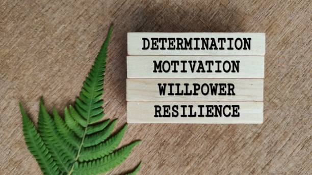 Motivational and inspirational Determination motivation willpower resilience text on blocks concept stock photo achievement aiming aspirations attitude stock pictures, royalty-free photos & images