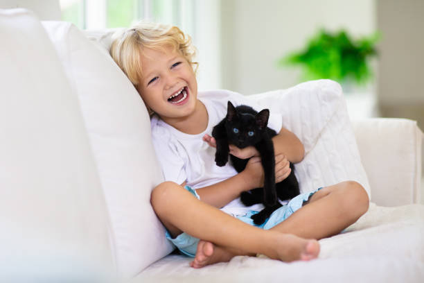istock Child playing with baby cat. Kid and kitten. 1179449321