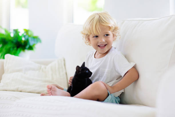 istock Child playing with baby cat. Kid and kitten. 1179449402