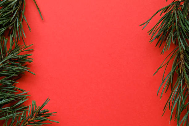 istock Christmas green frame of pine branches on red background. 1179452105