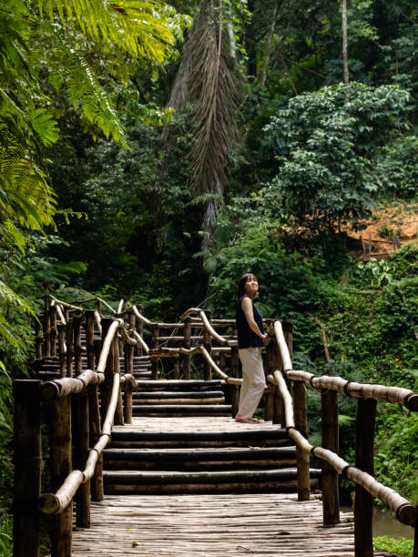 istock Young fashionable woman on a bamboo bridge 1179455701