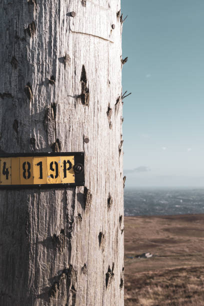 istock Close up of a pock-marked electricity pole in a rural environment 1179456603