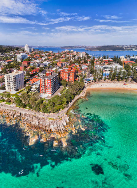 D Manly Rocks 2 CBD Vert Lift