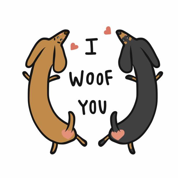 ilustraciones, imágenes clip art, dibujos animados e iconos de stock de dachshund pareja de perros, te woof que dibujos animados vector ilustración estilo doodle - short game